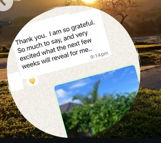 Thank you. I am so grateful. So much to say and very excited what the next few weeks will reveal for me..” — Cohort 1 Graduate / Subconscious Audit Phase 
